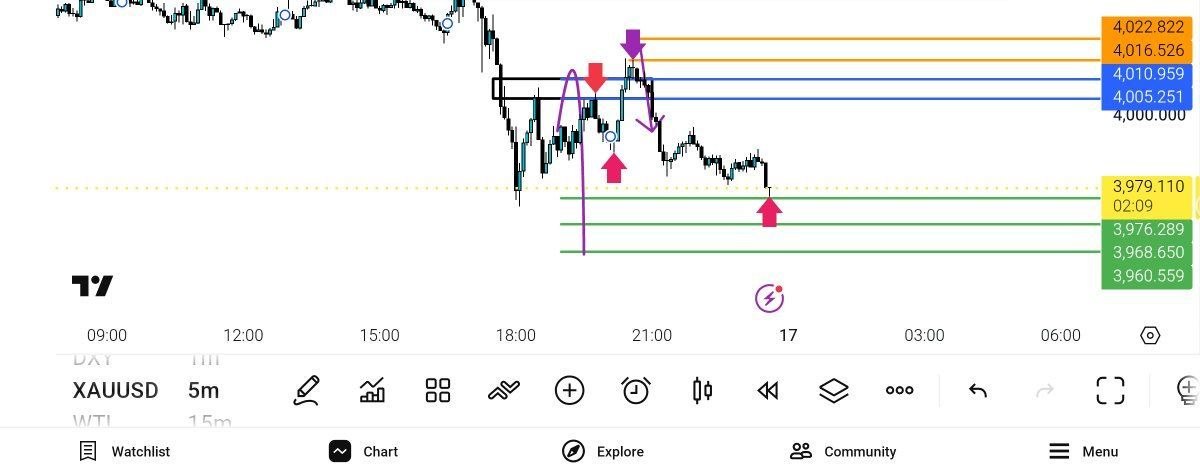 update,
tp,
3976