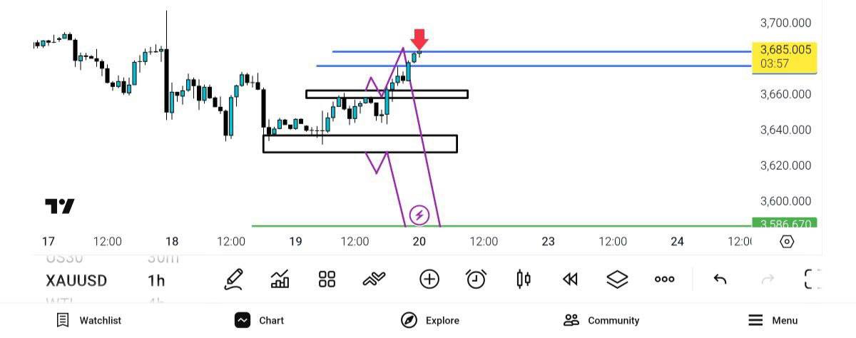 pdate, 
انس, ریخت, گفته, فروشندگان