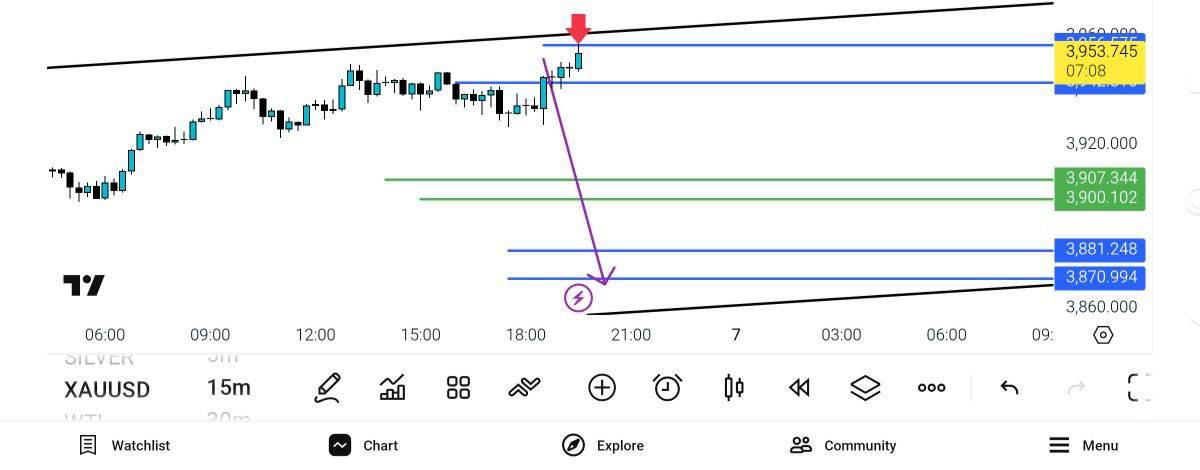 pdate, 

انس, 
سل