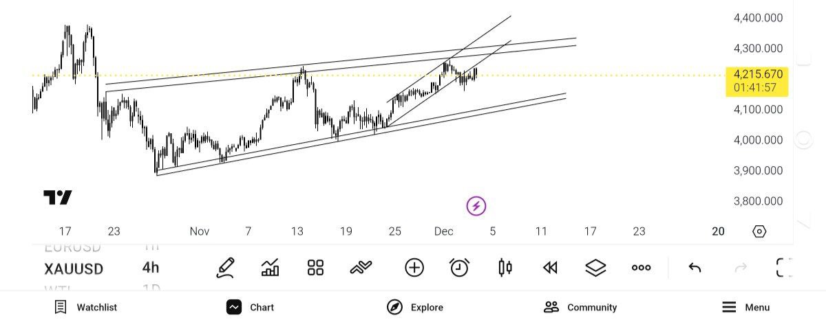 چارت, نمای, کلی, انس