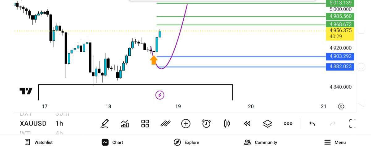 4905, زده, 
pdate, 
انس